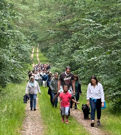 Waldspaziergang